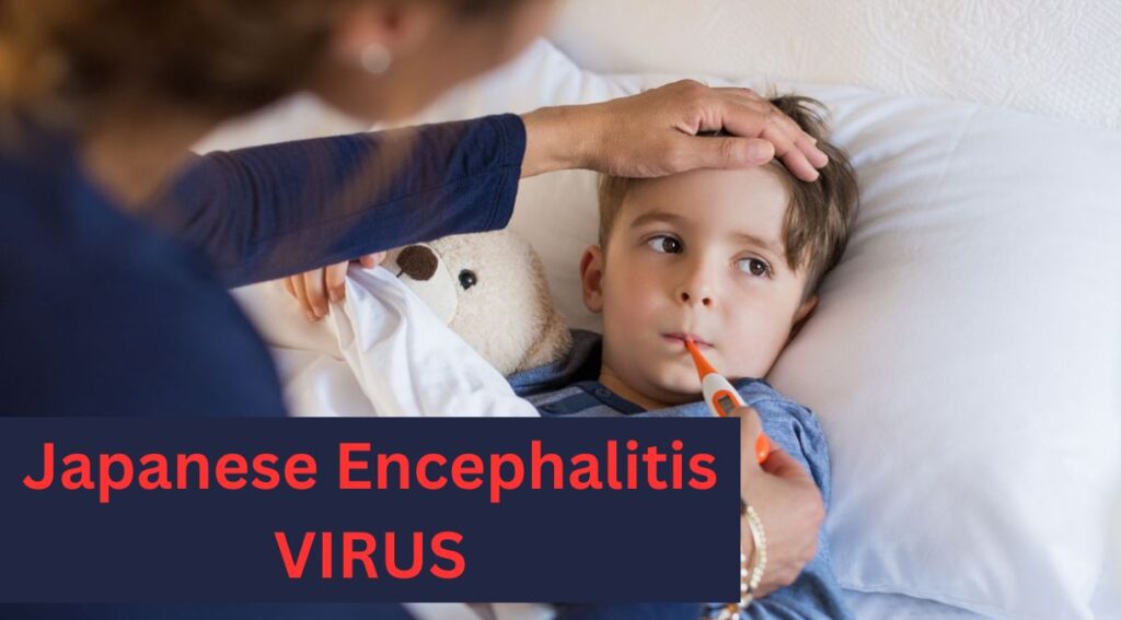 Japanese Encephalitis